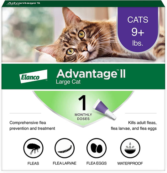 vet-recommended flea treatment for cats