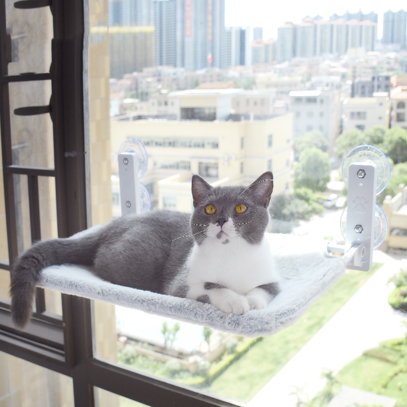 Cat Suction Cup Window Glass Hammock Pet Cat Pets Products - The Wholesale Cove