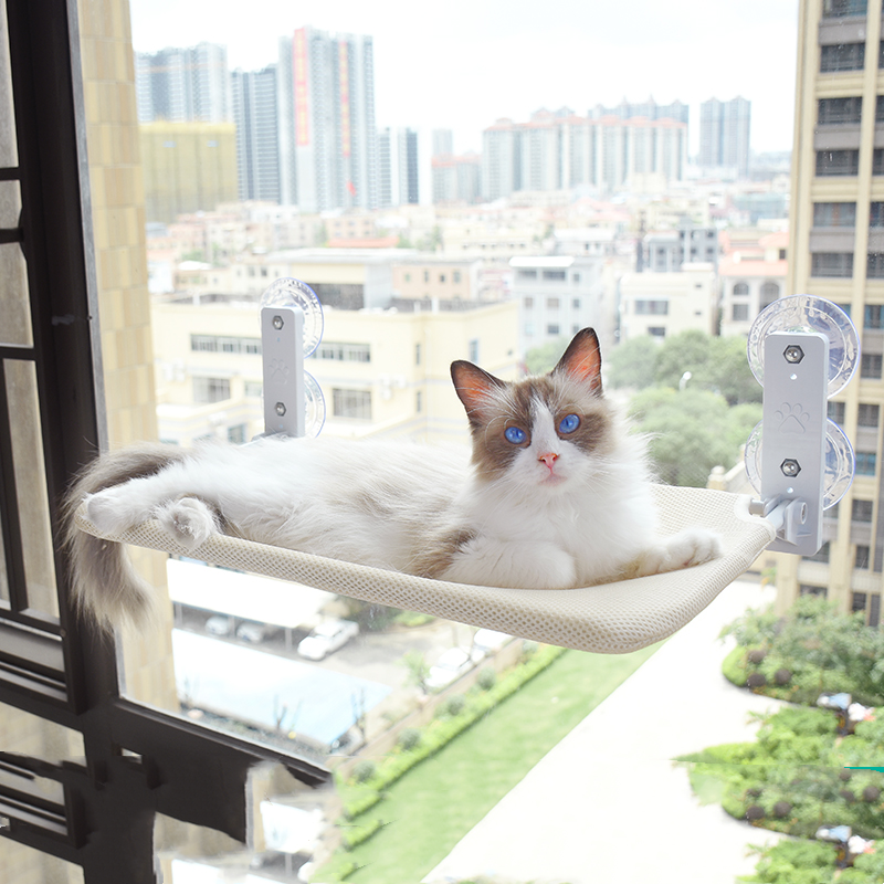 Cat Suction Cup Window Glass Hammock Pet Cat Pets Products - The Wholesale Cove