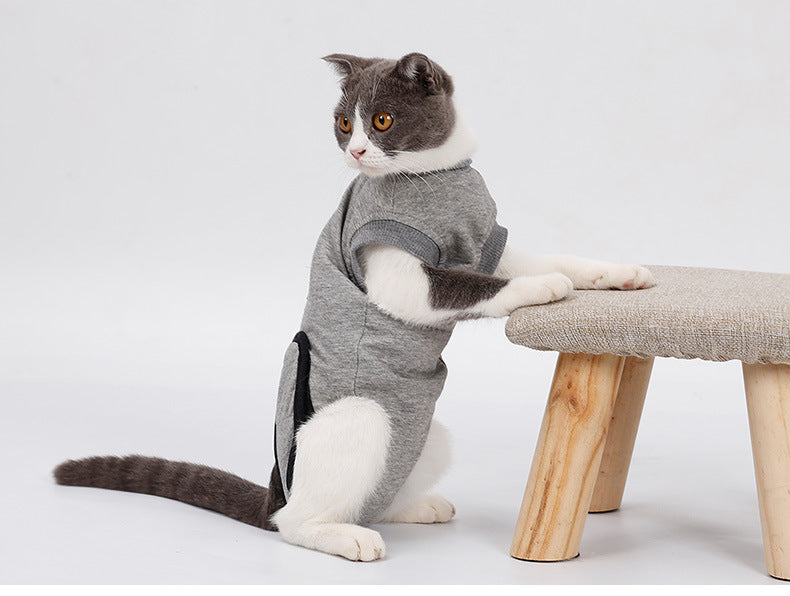 Pet Cat Recovery After Surgery Clothing Pet Wound Anti-mite Sterilization Suit pet products supplies &c - The Wholesale Cove