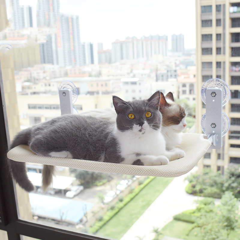 Cat Suction Cup Window Glass Hammock Pet Cat Pets Products - The Wholesale Cove