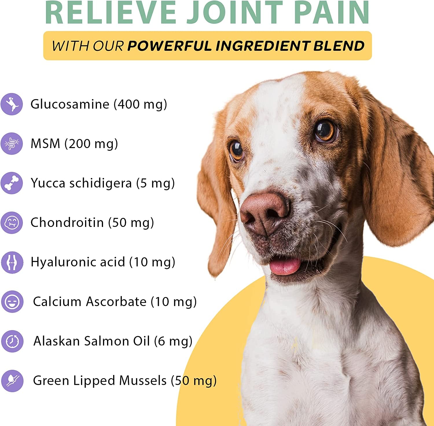 Chewable Dog Hip and Joint Supplement for Small & Medium Breeds - Glucosamine & Chondroitin Chews - Dog Joint Supplements & Vitamins - Extended Joint Care - 60 Ct