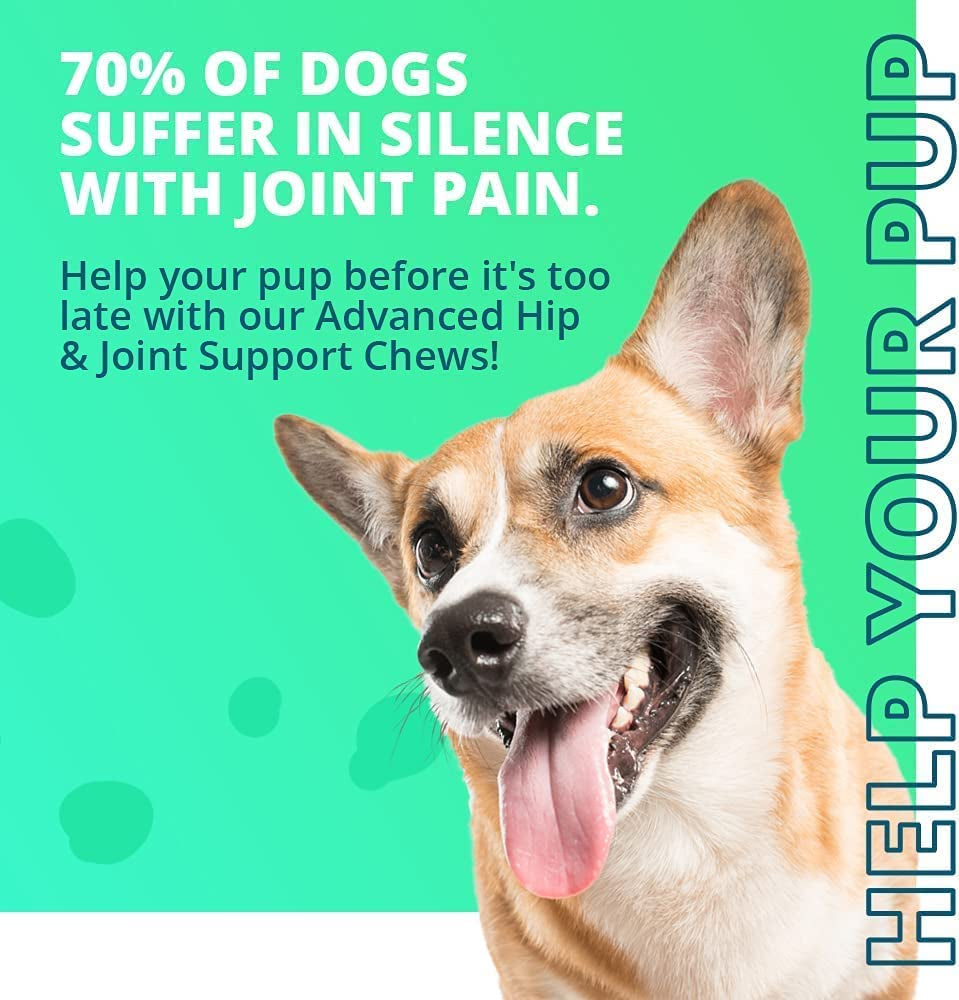 Chewable Dog Hip and Joint Supplement for Small & Medium Breeds - Glucosamine & Chondroitin Chews - Dog Joint Supplements & Vitamins - Extended Joint Care - 60 Ct