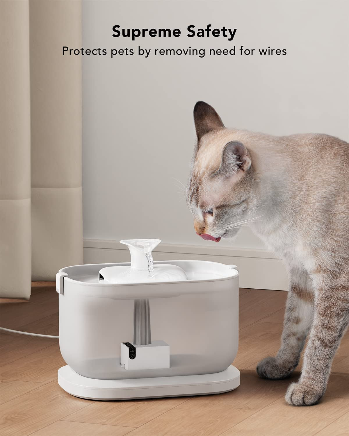 best cat water fountain