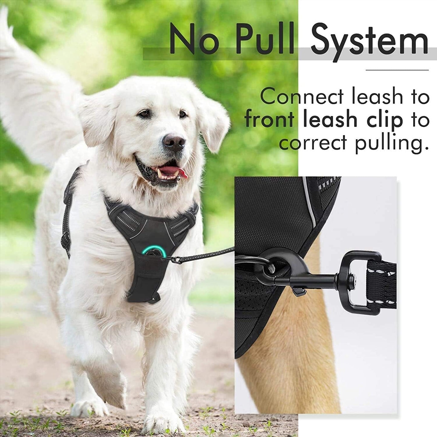 Rabbitgoo Dog Harness, No-Pull Pet Harness with 2 Leash Clips, Adjustable Soft Padded Dog Vest, Reflective No-Choke Pet Oxford Vest with Easy Control Handle for Large Dogs, Black, XL The Wholesale Cove 